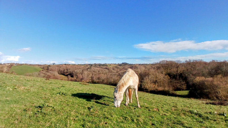vente Maison Orthez - Photo 13