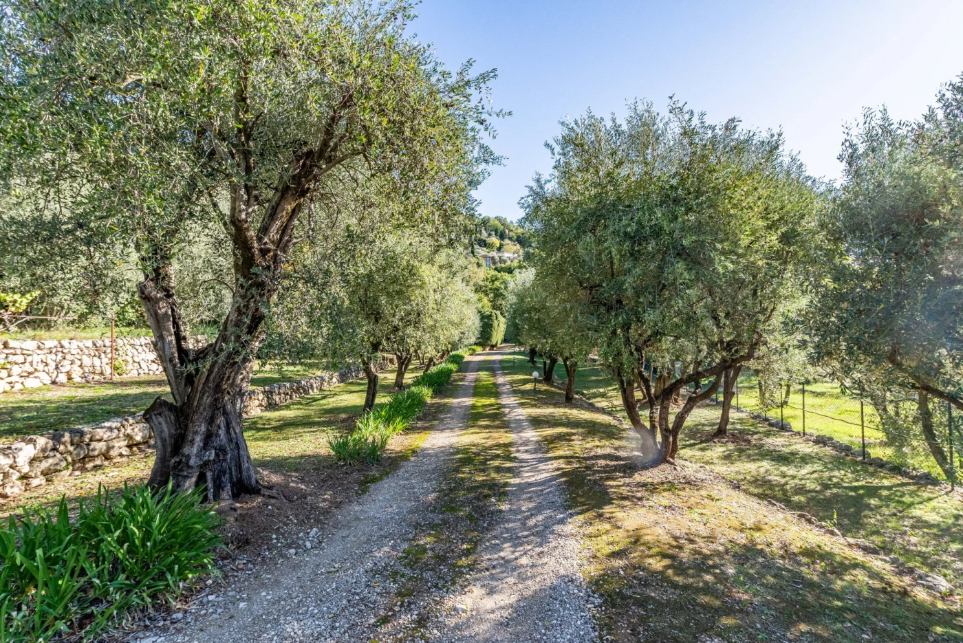 sale Maison Grasse - Photo 13