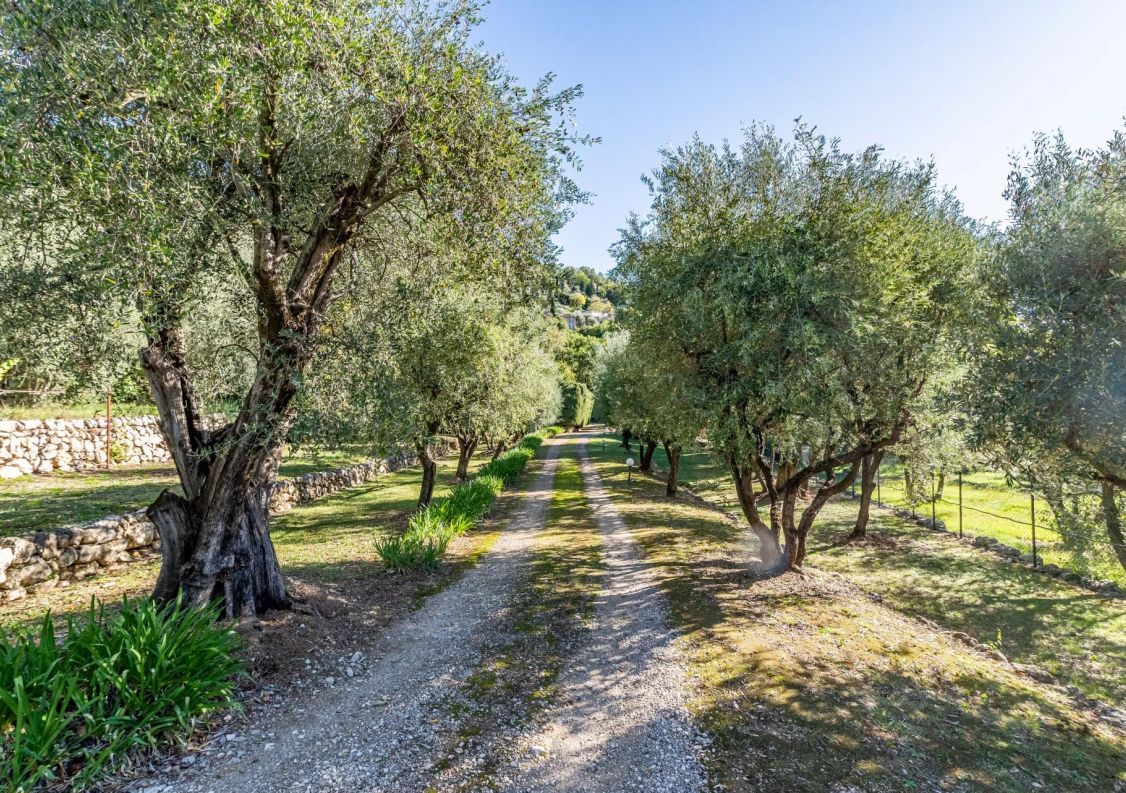 vente Maison Grasse