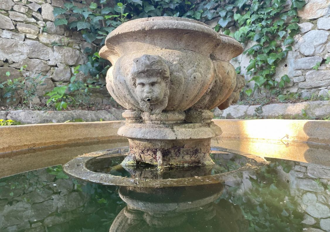 vente Maison Montauroux
