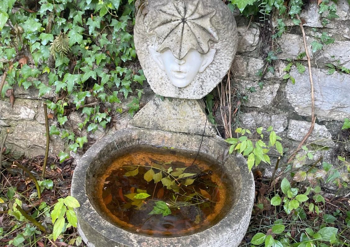 vente Maison Montauroux