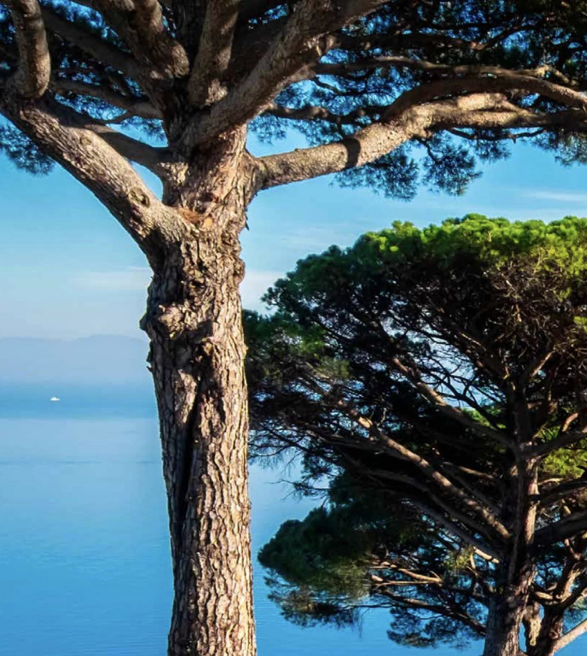 sale Maison Antibes - Photo 3