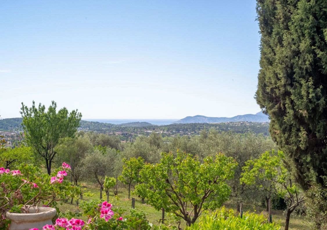 vente Maison Valbonne