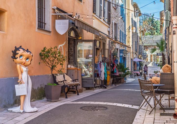 vente Local commercial Valbonne