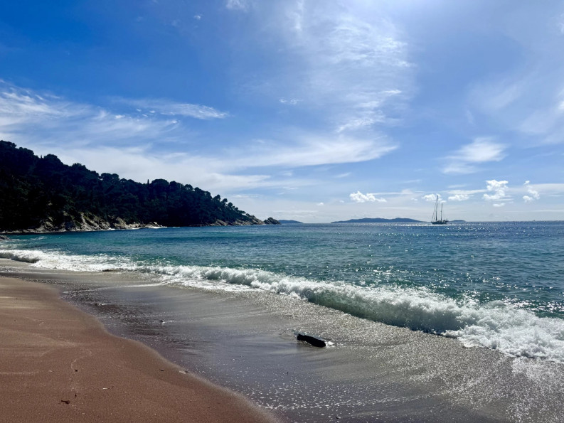 vente Maison Le Lavandou - Photo 4