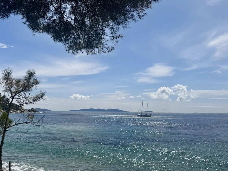 vente Maison Le Lavandou - Photo 3