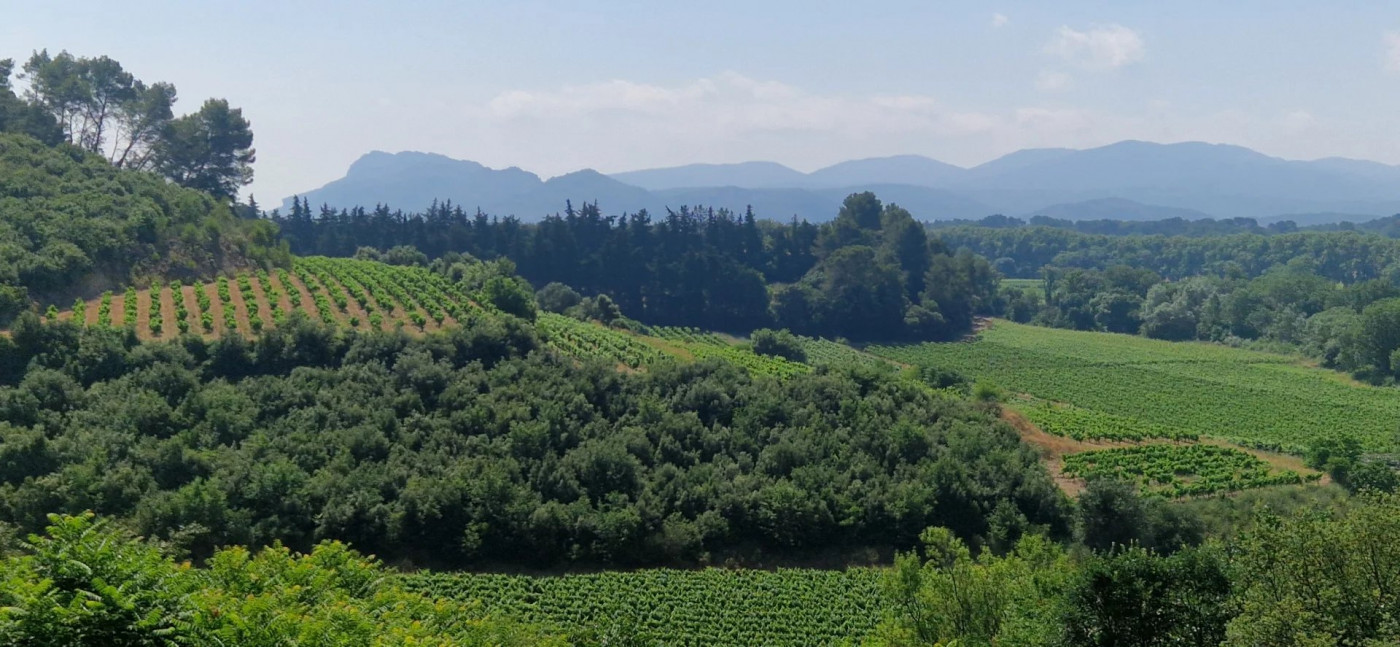 sale Maison La Motte - Photo 11