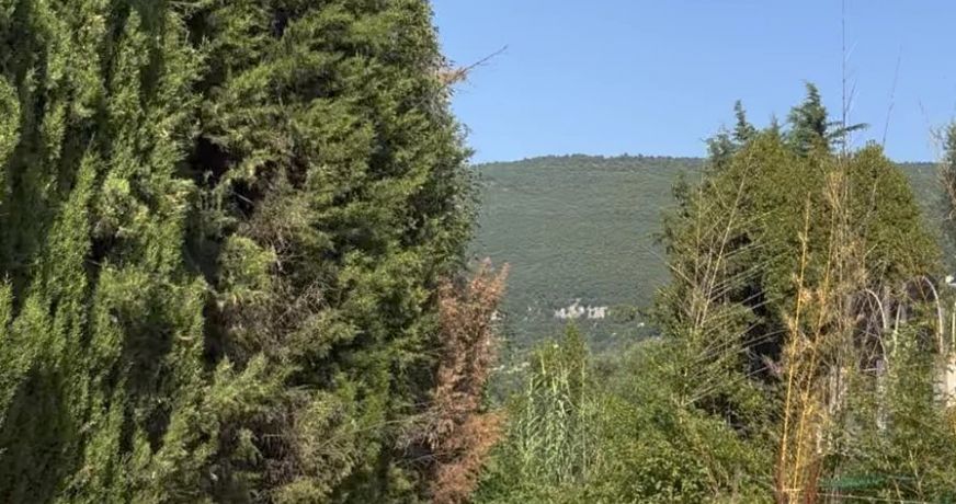 vente Maison Magagnosc