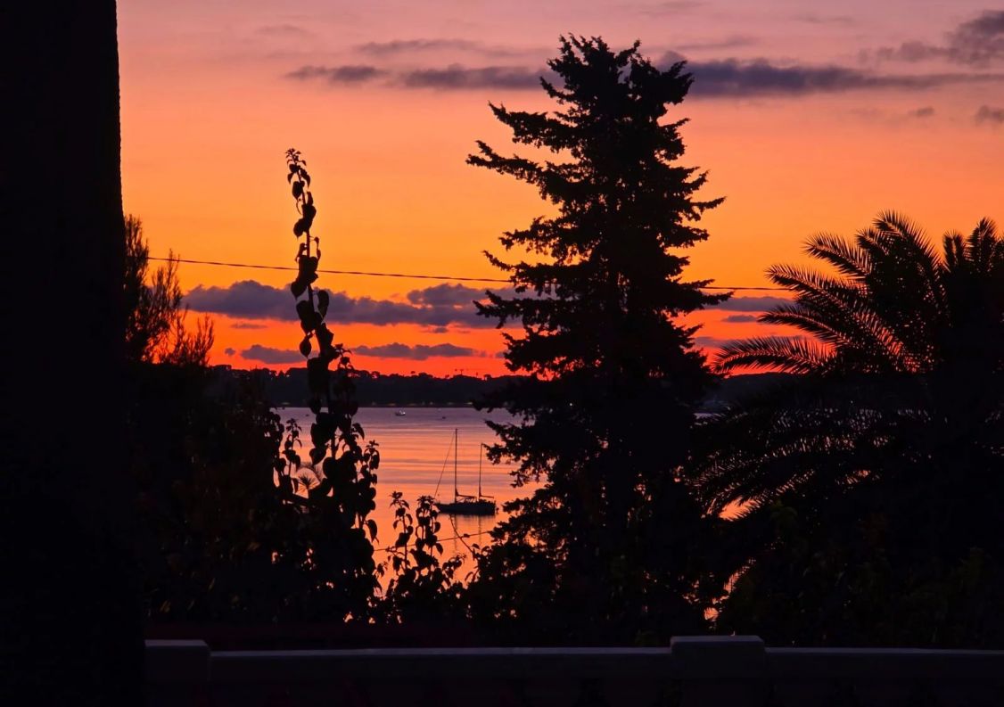 vente Maison Vallauris