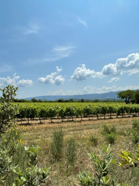 vente Villa Cabrieres D'avignon - Photo 3