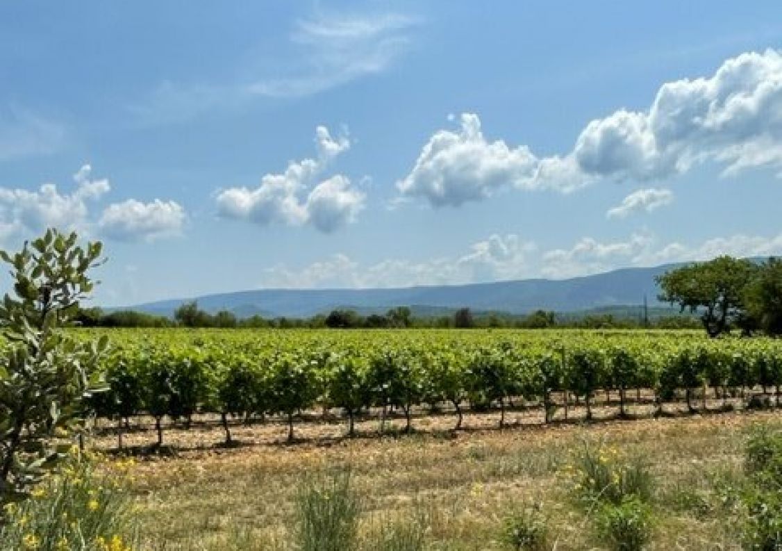 vente Villa Cabrieres D'avignon