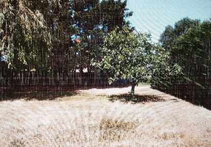 vente Terrain constructible Montelier