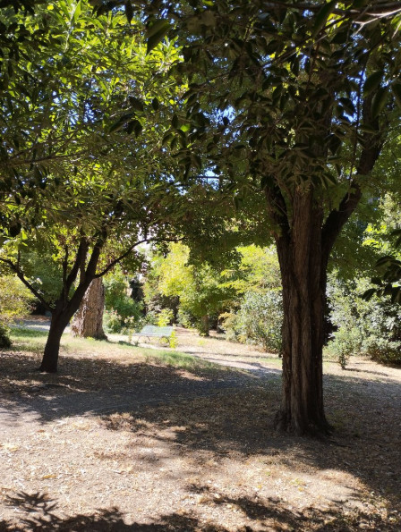 vente Appartement Avignon - Photo 5