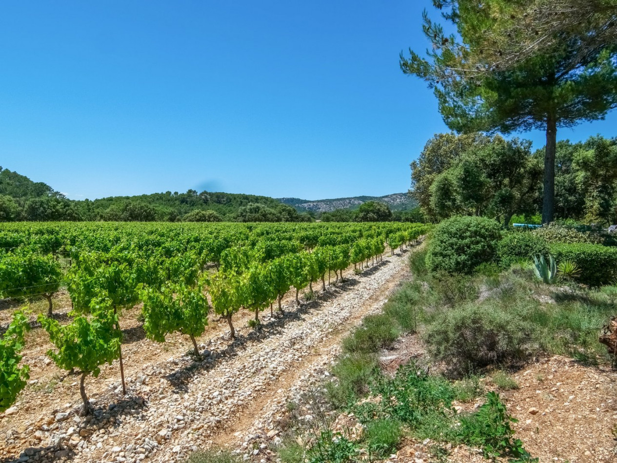 sale Maison de campagne Bedoin - Photo 17