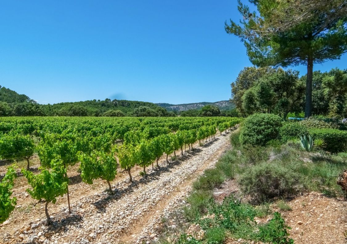 vente Maison de campagne Bedoin