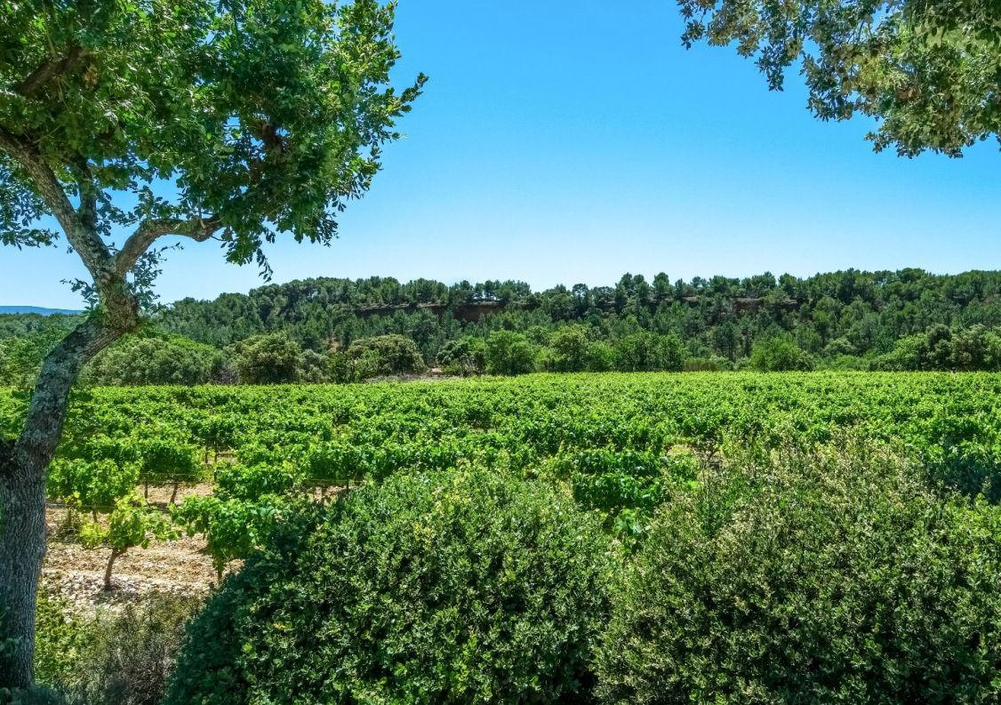 vente Maison de campagne Bedoin