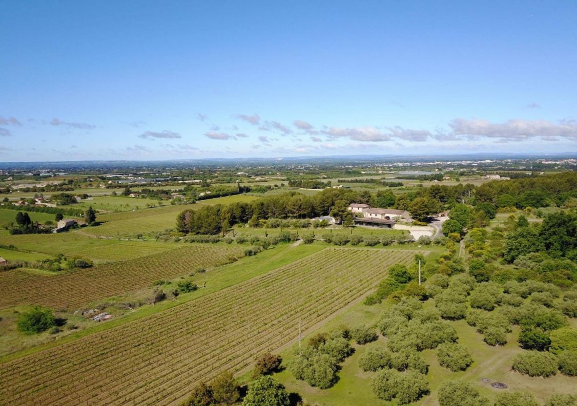 vente Propriété viticole Mazan