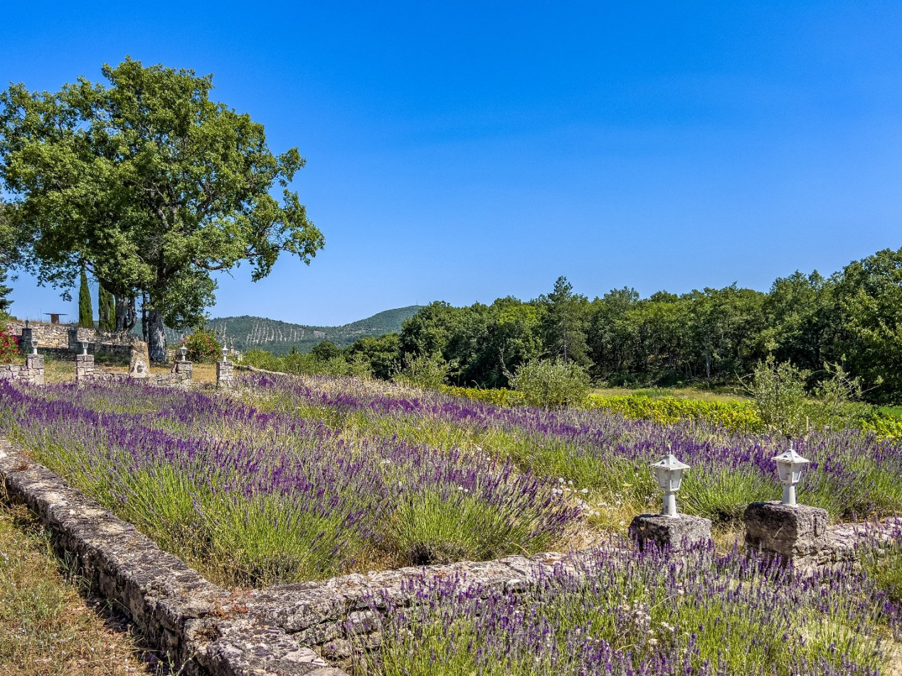 vente Maison de campagne Reillanne - Photo 12