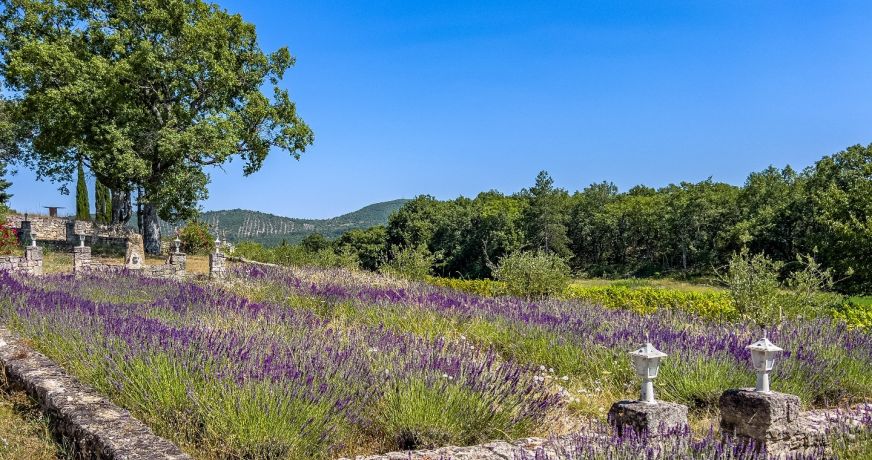 vente Maison de campagne Reillanne