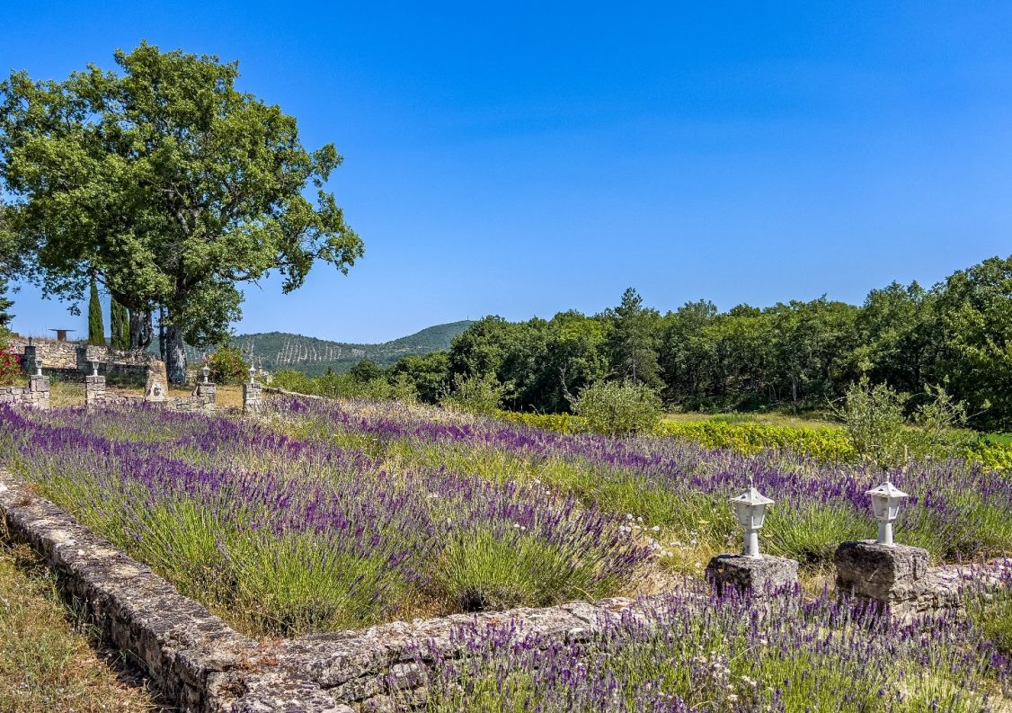 vente Maison de campagne Reillanne