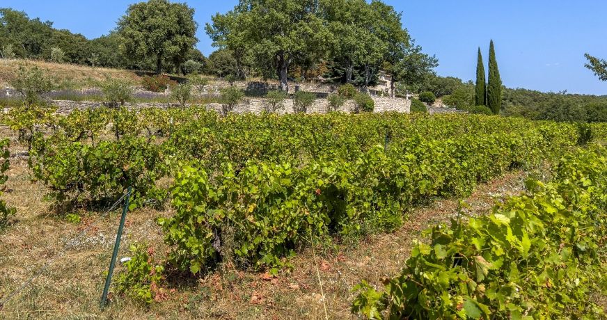 vente Maison de campagne Reillanne