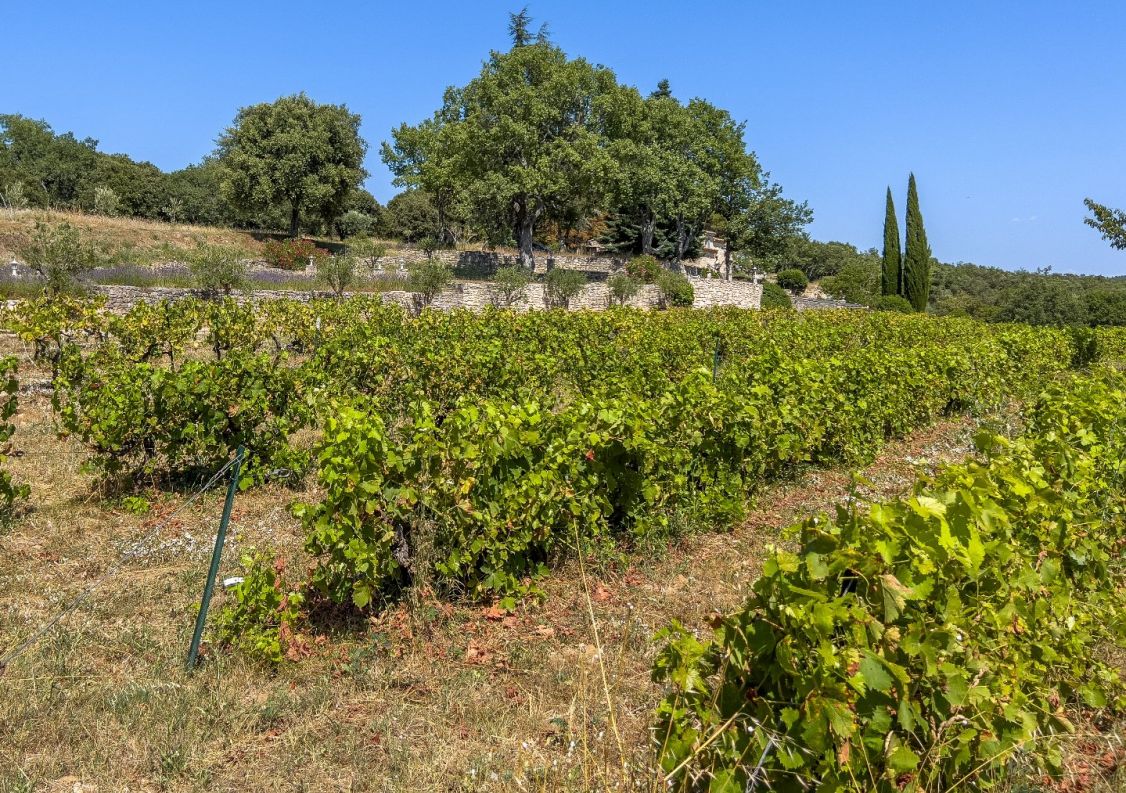 vente Maison de campagne Reillanne