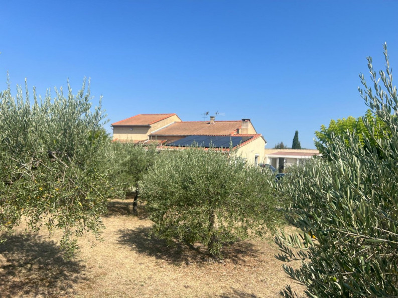 sale Maison de campagne Modene - Photo 1