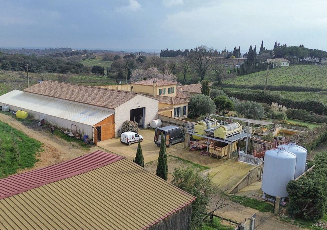 vente Propriété viticole Beauvoisin