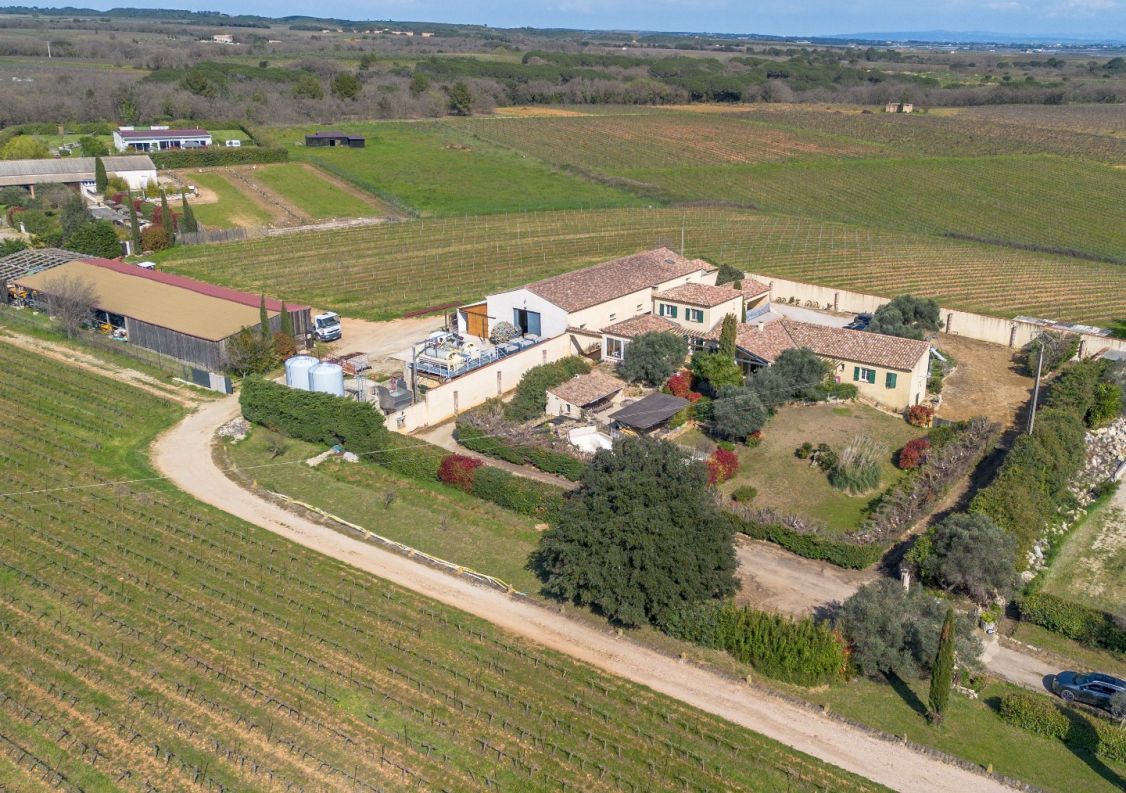 vente Propriété viticole Beauvoisin