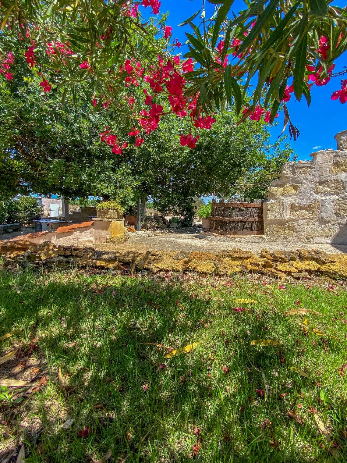 vente Propriété viticole Beauvoisin - Photo 17