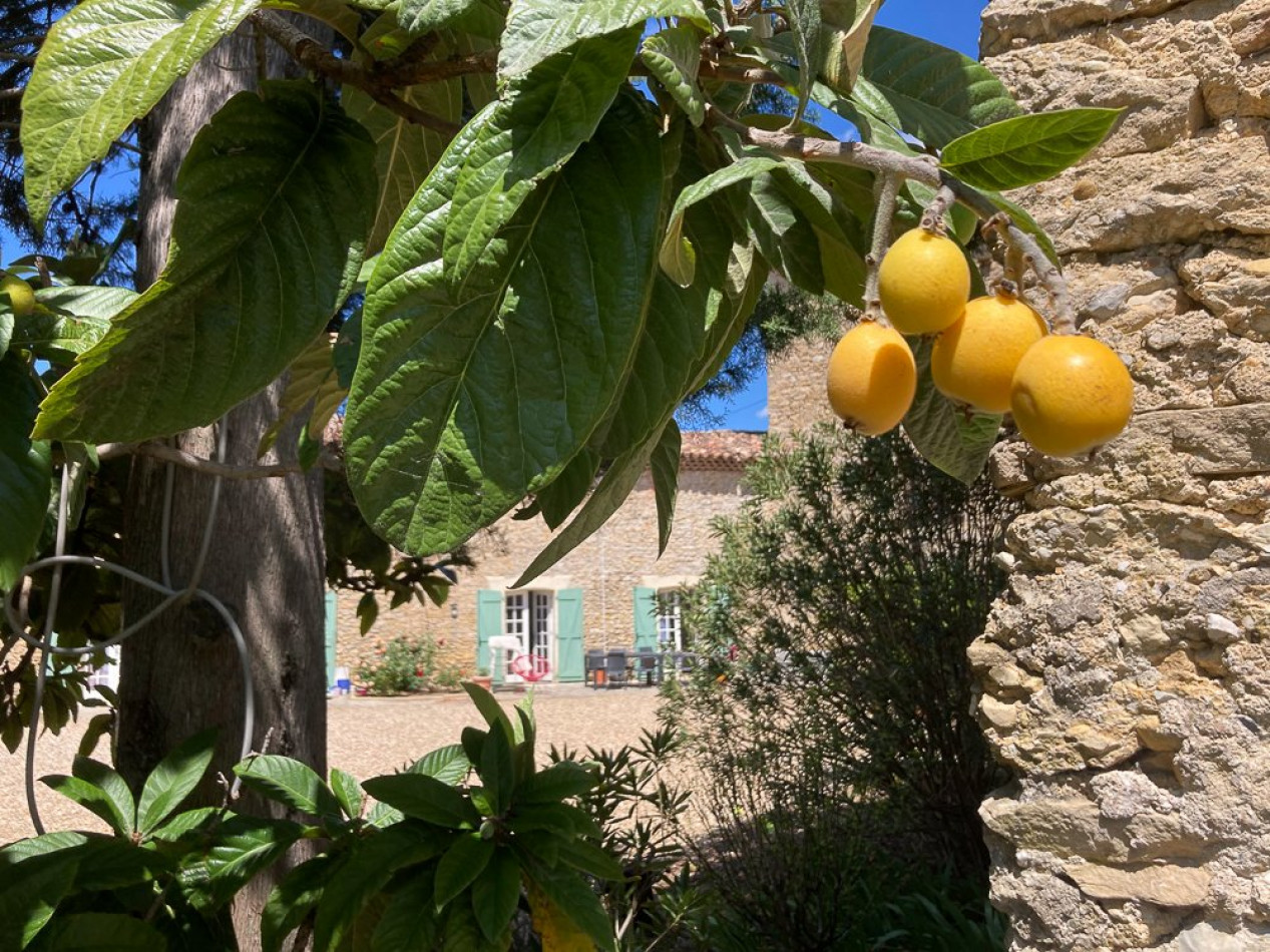 vente Mas Bagard - Photo 10