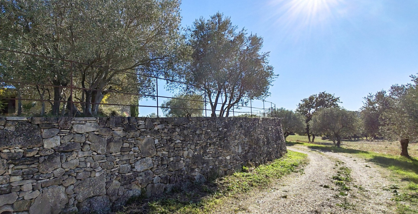 vente Propriété agricole Forcalquier - Photo 16