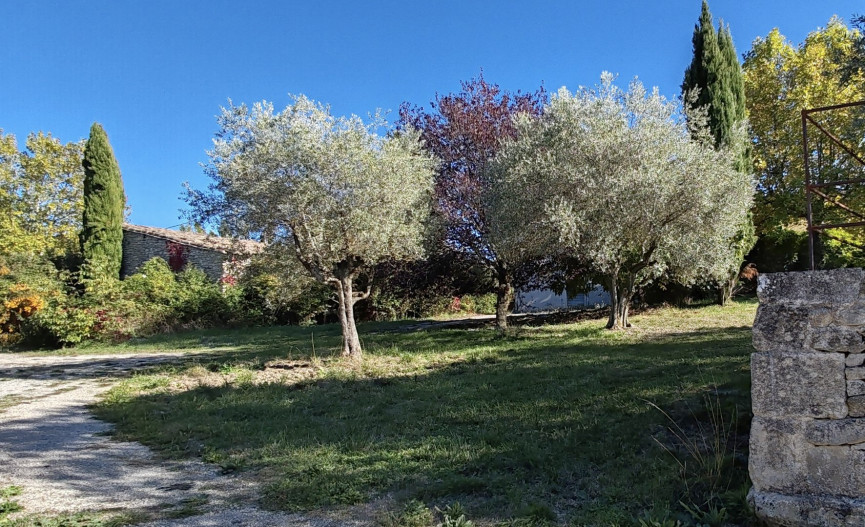 vente Propriété agricole Forcalquier - Photo 14