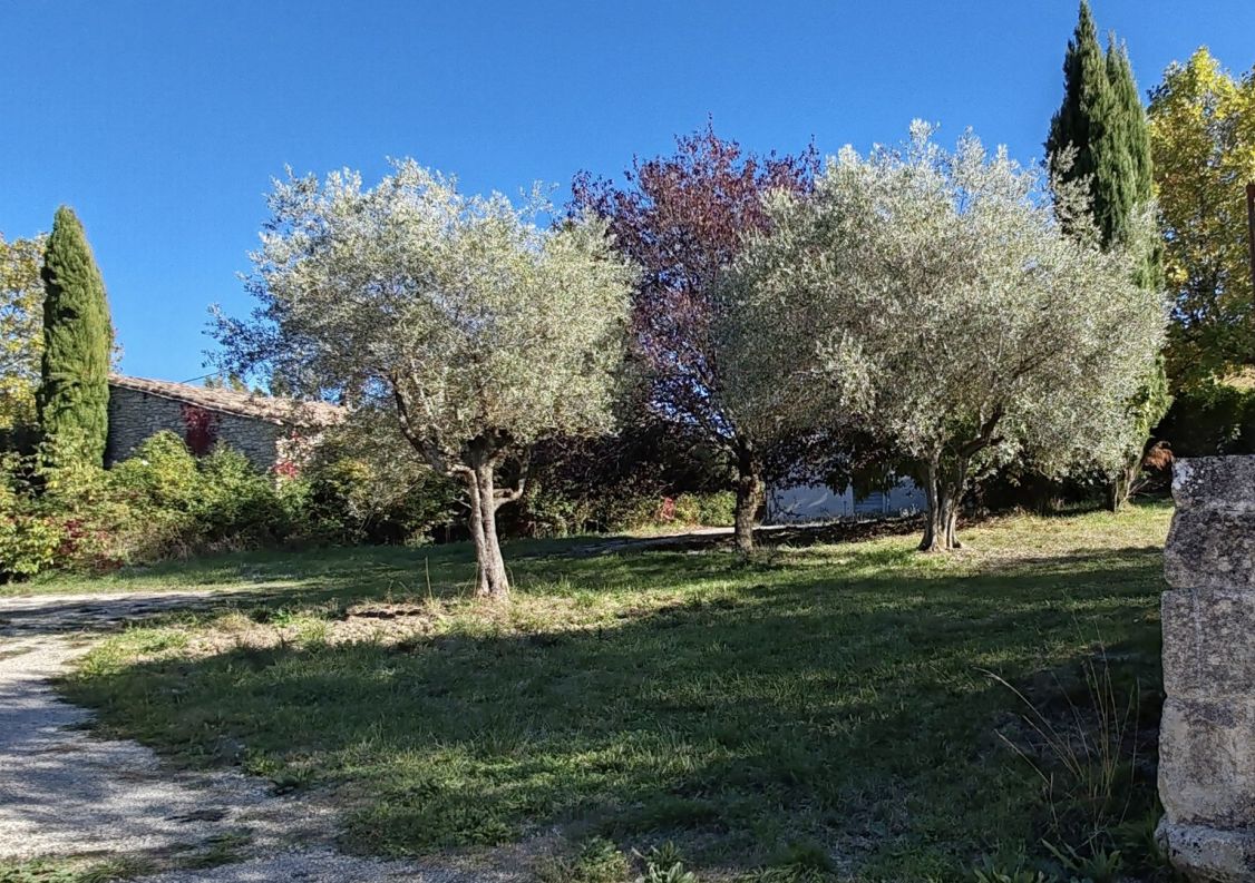 vente Propriété agricole Forcalquier