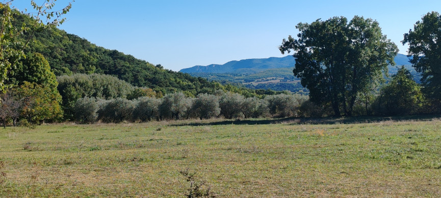 vente Propriété agricole Forcalquier - Photo 17