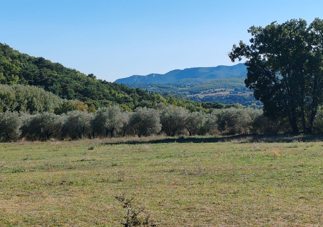 vente Propriété agricole Forcalquier