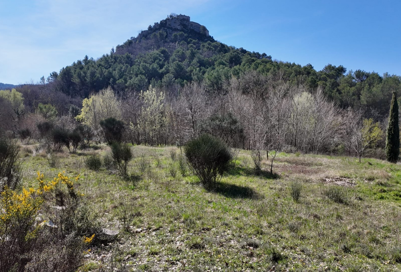 vente Terrain constructible Entrechaux - Photo 1