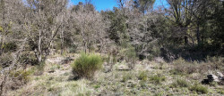 vente Terrain constructible Entrechaux