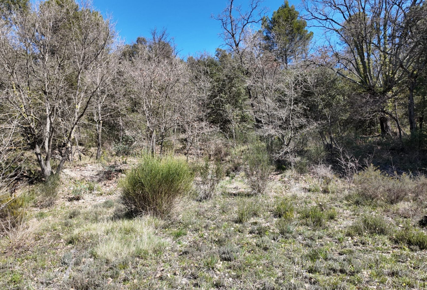 vente Terrain constructible Entrechaux - Photo 2