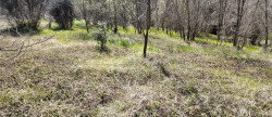 vente Terrain constructible Entrechaux