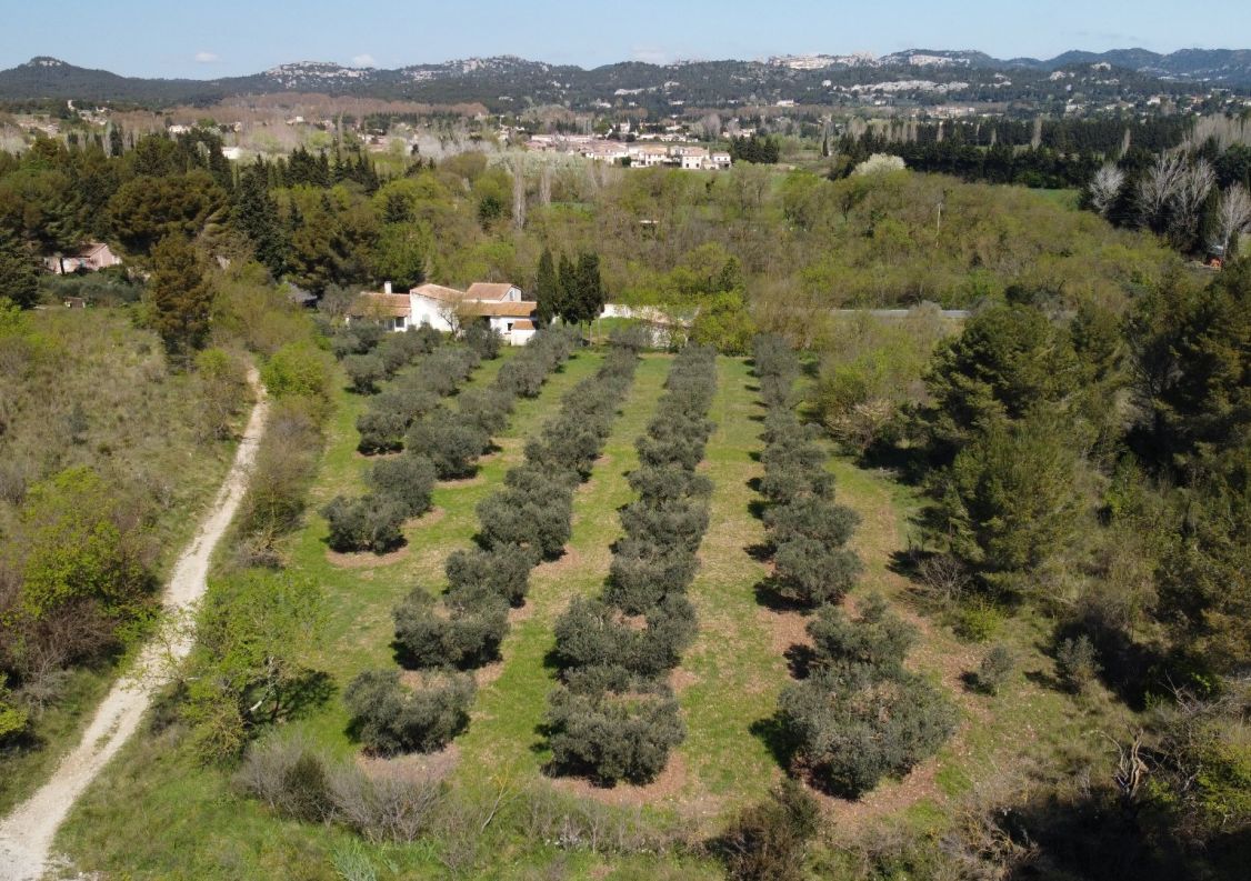 vente Maison Paradou