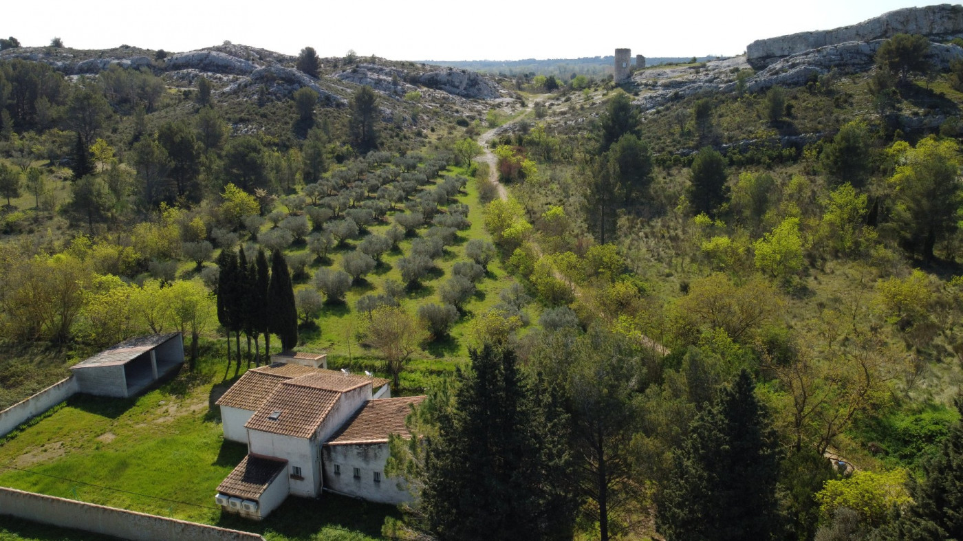 vente Maison Paradou - Photo 12