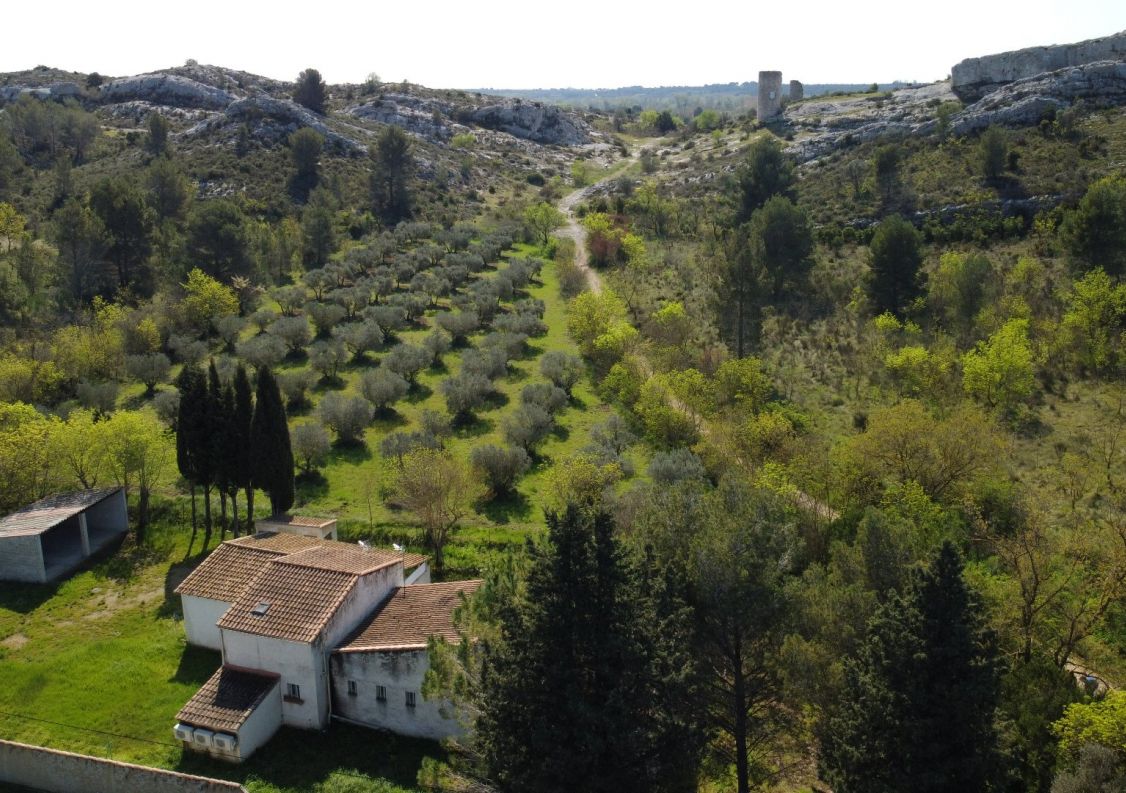 vente Maison Paradou