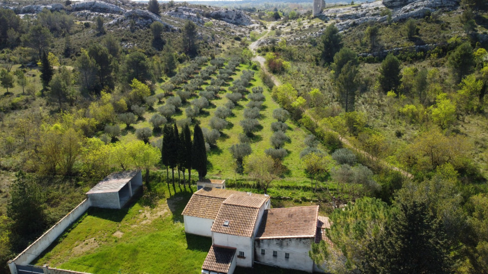 vente Maison Paradou - Photo 5