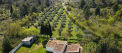 vente Maison Paradou