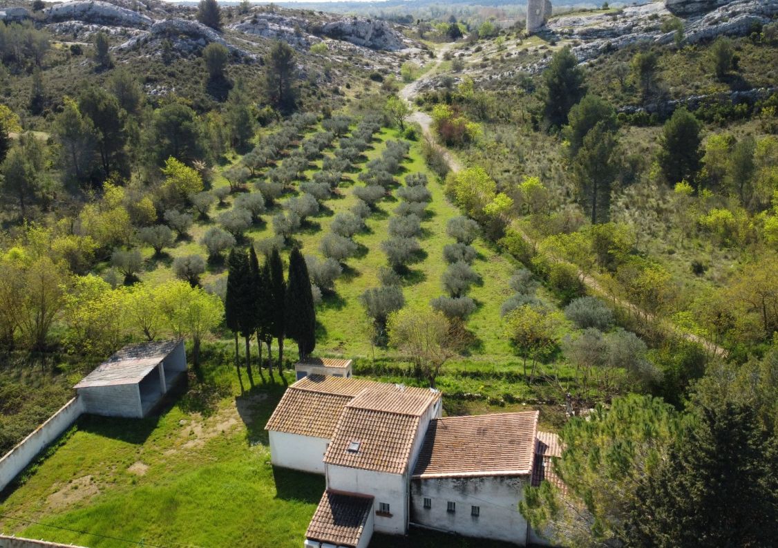 vente Maison Paradou