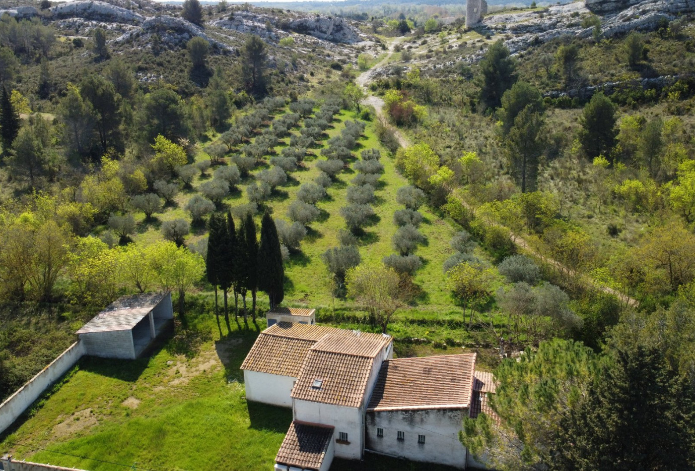 vente Maison Paradou - Photo 5
