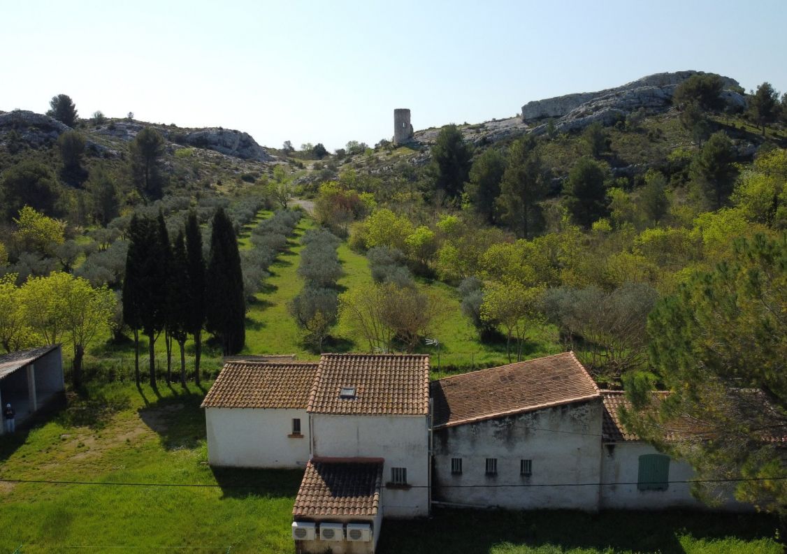 vente Maison Paradou