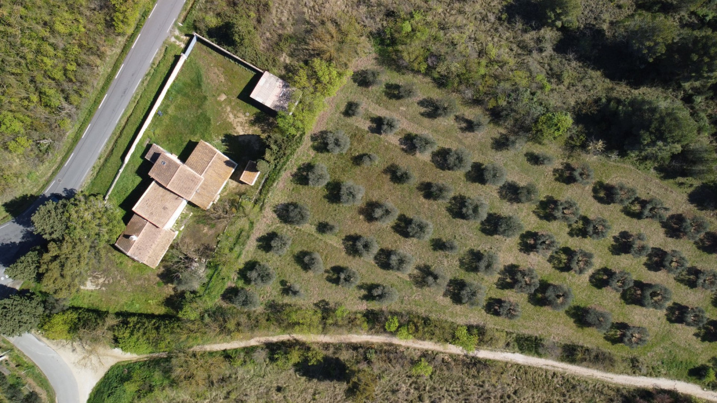 vente Maison Paradou - Photo 8