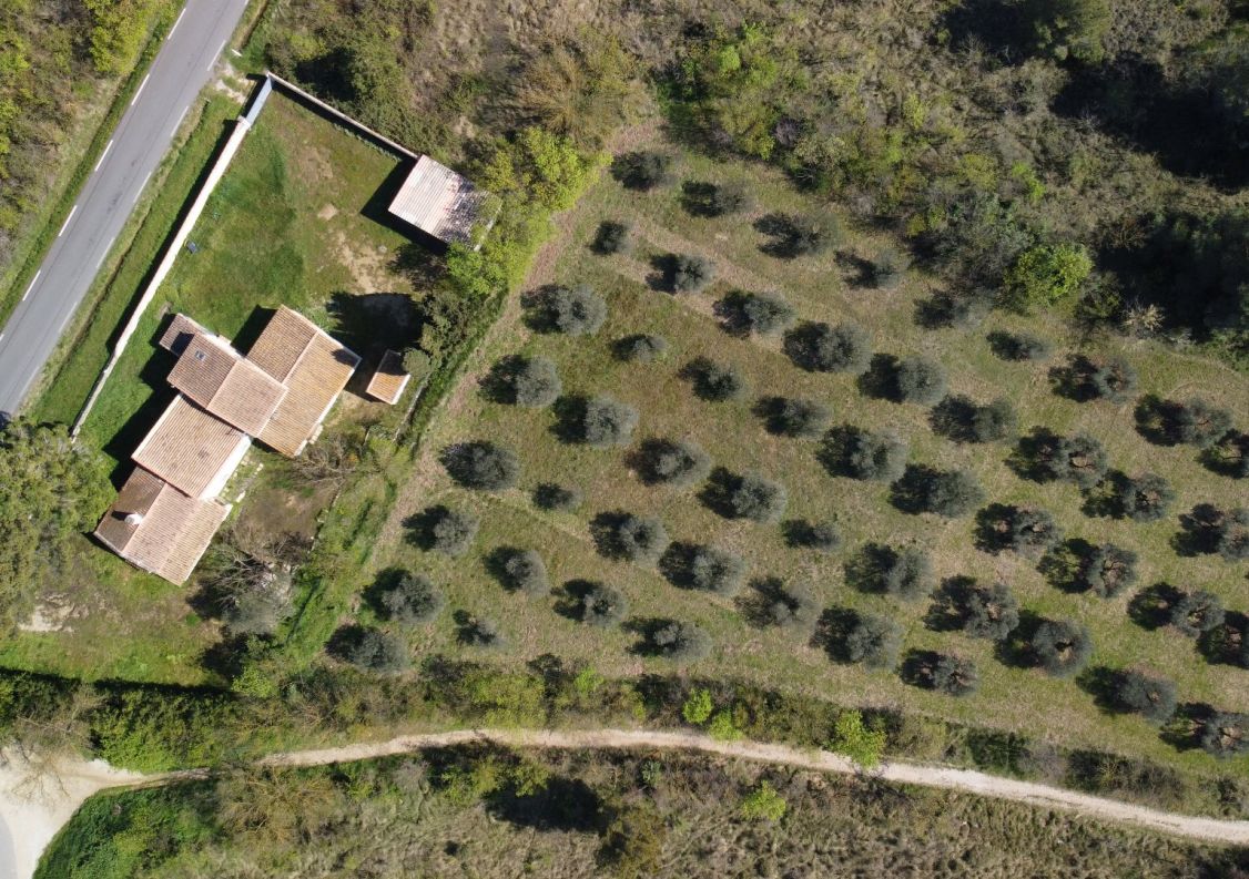 vente Maison Paradou